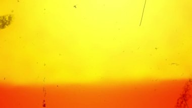 Profesyonel Editörler İçin Kusursuz Işık Sızıntısı Efektleri. Yüksek kalite 4k görüntü