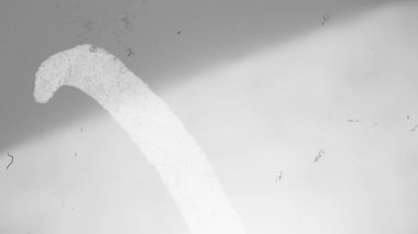 Beyaz Vintage Film Burns ve Video Düzenleme için Işık Sızıntıları. Yüksek kalite 4k görüntü