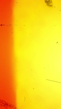 Profesyonel Editörler için Dikey Makara Kusursuz Işık Sızıntısı Efektleri. Yüksek kalite 4k görüntü