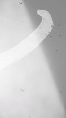 Beyaz Vintage Film Burns ve Video Düzenleme için Işık Sızıntıları. Yüksek kalite 4k görüntü