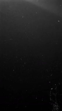 Toz, sıyrık ve titrek beyaz yanık efektleri ile Eski Film Tarzı Örtüsü. Yüksek kalite 4k görüntü