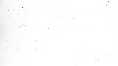 Dust Grunge Film Grain beyaz zemin kaplıyor. Yüksek kalite 4k görüntü