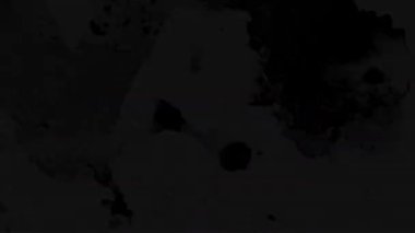 Kirli Leke Üstüste Eski Film Makarası Bakışı. Yüksek kalite 4k görüntü