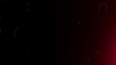 Film Burns ve Grunge Dust ile sinematik Retro Overlay. Yüksek kalite 4k görüntü