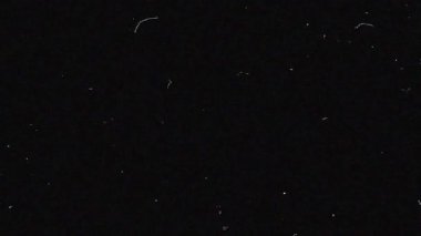 Sinematik Toz Parçacıkları ve Tırmık Film Efekti. Yüksek kalite 4k görüntü