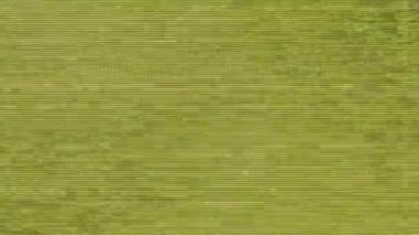 VHS Bozukluğu ve Statik Gürültü Retro TV Efekti. Yüksek kalite 4k görüntü