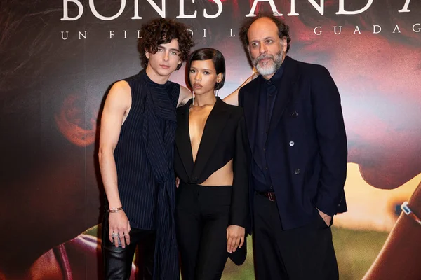 Milan Italy November Timothee Chalamet Taylor Russell Luca Guadagnino Attend — Stock Photo, Image