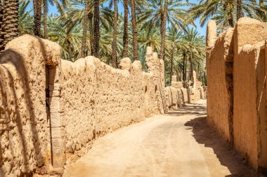 Al Ula yol boyunca palmiyelerle eski kasaba caddesini mahvetti, Suudi Arabistan