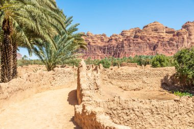 Al Ula yol boyunca palmiyelerle eski kasaba caddesini mahvetti, Suudi Arabistan