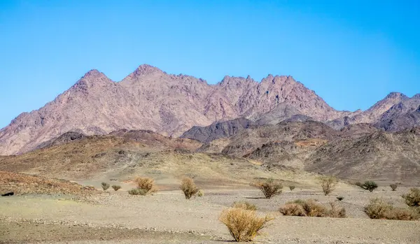 stock image Desert landscape with mountains in the background, near Al Ula, Saudi Arabia