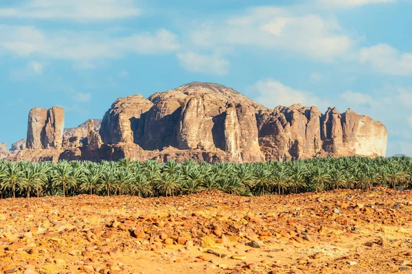Руйнування Пустелі Біля Гробниць Дадана Аль Ула Мадайн Саліх Саудівська — стокове фото