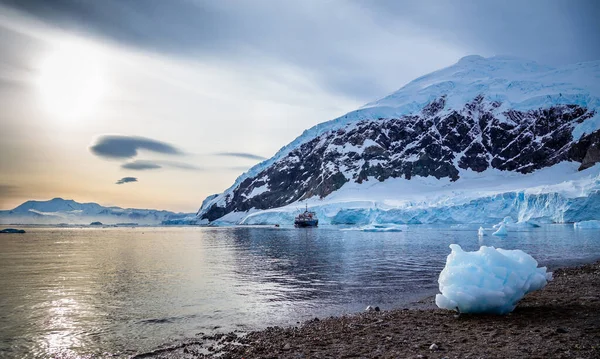 背後にラグーンと氷河がある海岸の大きな青い氷山 ネコ湾 南極半島 — ストック写真