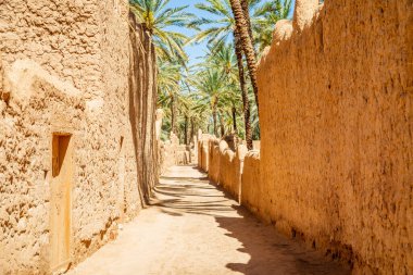 Al Ula ruined old town street with palms along the road, Saudi Arabia clipart