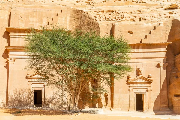 Stenhuggna Nabateiska Gravar Med Träd Mitten Jabal Banat Hegra Ula — Stockfoto