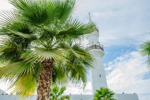 White Jaffali Mosque Palms Foreground Jeddah Saudi Arabia Stock Picture