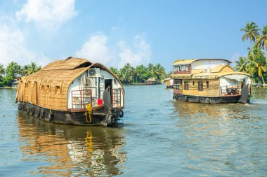 Pamba nehrinde yüzen geleneksel Hint yüzen tekneleri, kıyı şeridinde palmiyeler, Alappuzha, Kerala, Güney Hindistan
