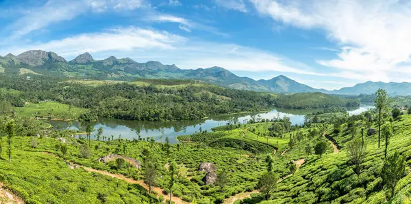 Campi Verdi Piantagioni Sulle Colline Paesaggio Lago Anayirankal Munnar Kerala Foto Stock
