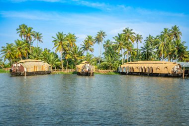 Pamba nehir kıyısında demirlemiş geleneksel Hint yüzen evleri, arka planda palmiyeler, Alappuzha, Kerala, Güney Hindistan