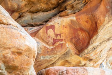 Eski kabile kaya sanat eserleri hayvan figürlerinin ilkel oymaları, Laas Geel, Maroodi Jeex, Hargeisa, Somaliland