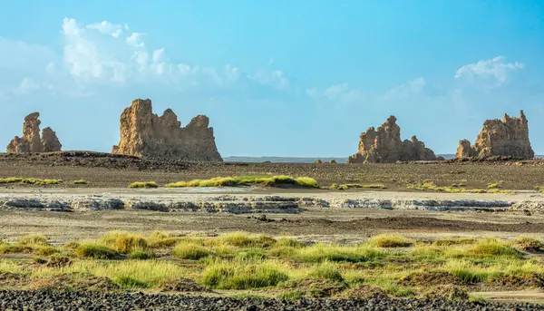 stock image Ancient chimneys mineral rock formations on the dried bottom of the salt lake Abbe, Dikhil region, Djibouti