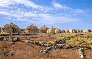 Traditional nomad style camping houses and tents at lake Abbe, Dikhil region, Djibouti clipart