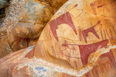 M.Ö. 5000, antik kabile kaya resimleri hayvan figürlerinin ilkel oymaları, Laas Geel, Maroodi Jeex, Hargeisa, Somaliland