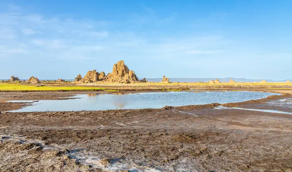 stock image Limestone prehistoric chimneys geological rock formations, salt lake Abbe, Dikhil region, Djibouti