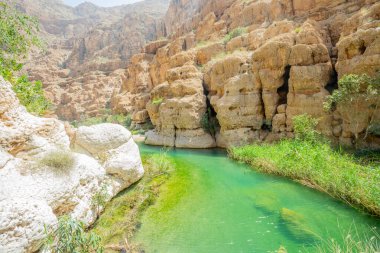 Wadi Shab Kanyonu 'nun ortasındaki yeşil göl suları, Tiwi, Sultan Umman.