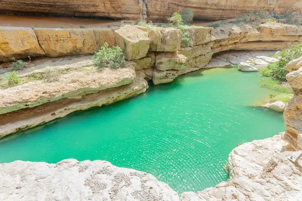 Wadi Shab Kanyonu 'nun ortasındaki yeşil göl suları, Tiwi, Sultan Umman.