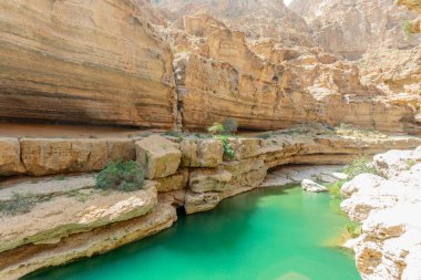 Wadi Shab Kanyonu 'nun ortasındaki yeşil göl suları, Tiwi, Sultan Umman.