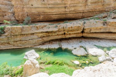Wadi Shab Kanyonu 'nun ortasındaki yeşil göl suları Tiwi, Sultan Umman.