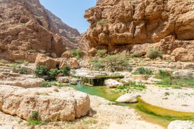 Wadi Shab Kanyonu 'nun ortasındaki yeşil vaha akıntısı, Tiwi, Sultan Umman.
