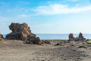 Limestone prehistoric chimneys rock formations, bottom of salt lake Abbe, Dikhil region, Djibouti clipart