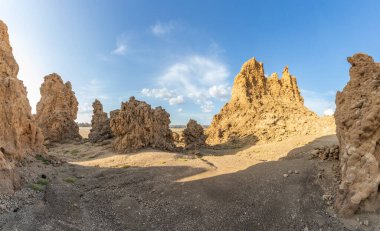 Ancient chimneys mineral rock formations on the dried bottom of the salt lake Abbe, Dikhil region, Djibouti clipart