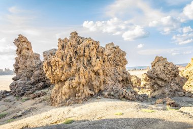 Antik bacalar tuz gölü Abbe, Dikhil bölgesi, Cibuti 'nin kurumuş tabanında mineral kaya oluşumları