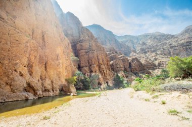 Vadi Shab Kanyonu 'nun ortasında yeşil vaha ve nehir var. Tiwi, Umman Sultanı.