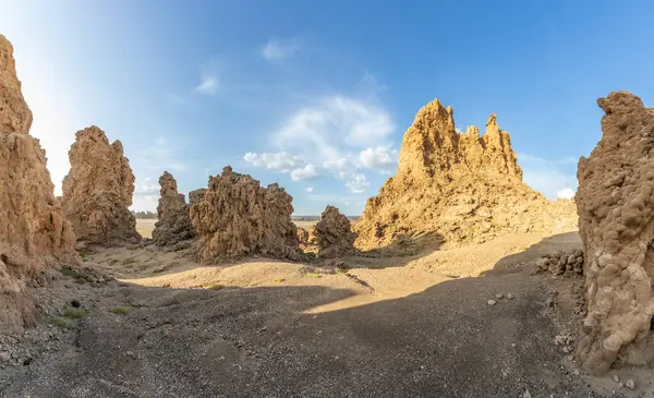 stock image Ancient chimneys mineral rock formations on the dried bottom of the salt lake Abbe, Dikhil region, Djibouti