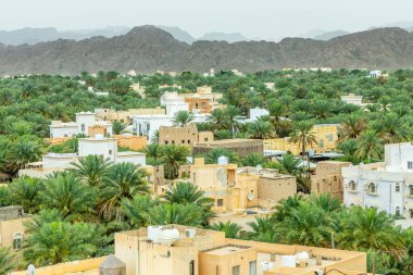 Eski Nizwa Arap kasabası sokakları arka planda dağları olan palmiyelerin arasına gizlenmiş, Nizwa, Sultan Umman.