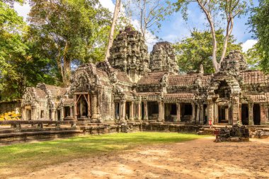 Kamboçya ormanlarında gizlenmiş Antik Ta Prohm tapınağı, Angkor Vat, Siem Reap, Kamboçya