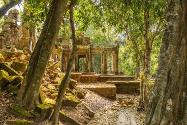 Kamboçya ormanlarında gizlenmiş Antik Ta Prohm tapınağı, Angkor Vat, Siem Reap, Kamboçya