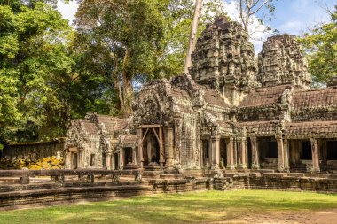 Antik Ta Prohm tapınağı girişi Kamboçya ormanlarında kayboldu, Angkor Vat, Siem Reap, Kamboçya