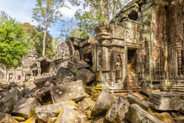 Kamboçya ormanlarında kaybolan Antik Ta Prohm tapınağında heykellerle süslenmiş yıkılmış duvar, Angkor Vat, Siem Reap, Kamboçya