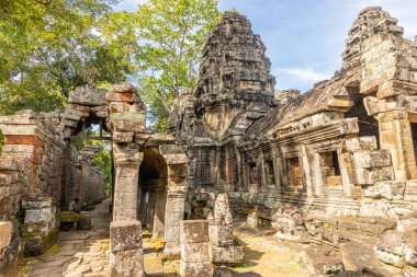 Ormanlarda unutulmuş Hindu efsanevi Banteay Kdei khmer kalıntıları yıkılmış tapınak, Angkor Arkeoloji Parkı, Siem Reap, Kamboçya