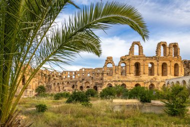Eski Afrikalı Roma Kolezyumu tiyatro arenası ön planda yıkılmış duvarlar ve palmiyeler, El Jem, Mahdia, Tunus