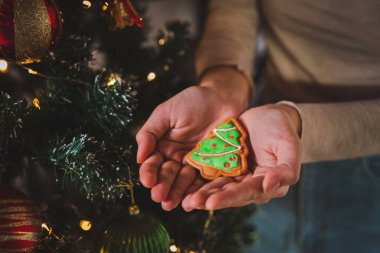 Noel ağacı şeklinde süslenmiş Noel kurabiyesi tutan bir kadın resmi. Noel arifesine hazırlık. Kış tatillerini kutluyoruz, Noel sezonunu kutluyoruz. Şenlikli dekorasyon.