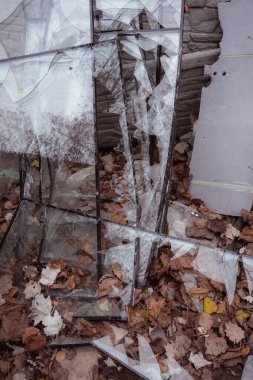 Bir sürü kırık cam var. Bir çöp kutusunda toplanan yüksek katlı bir binanın kırık camları. Büyük bir roket saldırısının sonuçları. Askeri eylemlerin sonuçları.