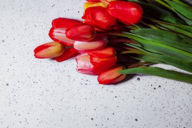 Bahar lalelerinin doğal buketi. Beyaz arka planda kırmızı laleler. Sevgililer günü, anneler günü, şefkat günü, doğum günü konsepti. Yumuşak seçici odaklanma. Bahar sahnesi. Tebrik kartı.