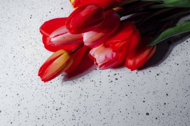 Bahar lalelerinin doğal buketi. Beyaz arka planda kırmızı laleler. Sevgililer günü, anneler günü, şefkat günü, doğum günü konsepti. Yumuşak seçici odaklanma. Bahar sahnesi. Tebrik kartı.
