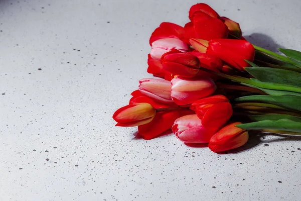 Natürliches Bouquet Von Frühlingstulpen Rote Tulpen Auf Weißem Hintergrund Valentinstag — Stockfoto