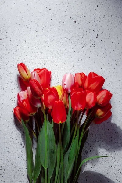 Natural bouquet of spring tulips. Red tulips on a smart white background. Valentine\'s day, mother\'s day, tenderness day, birthday concept. Soft selective focus. Spring scene. Greeting card.